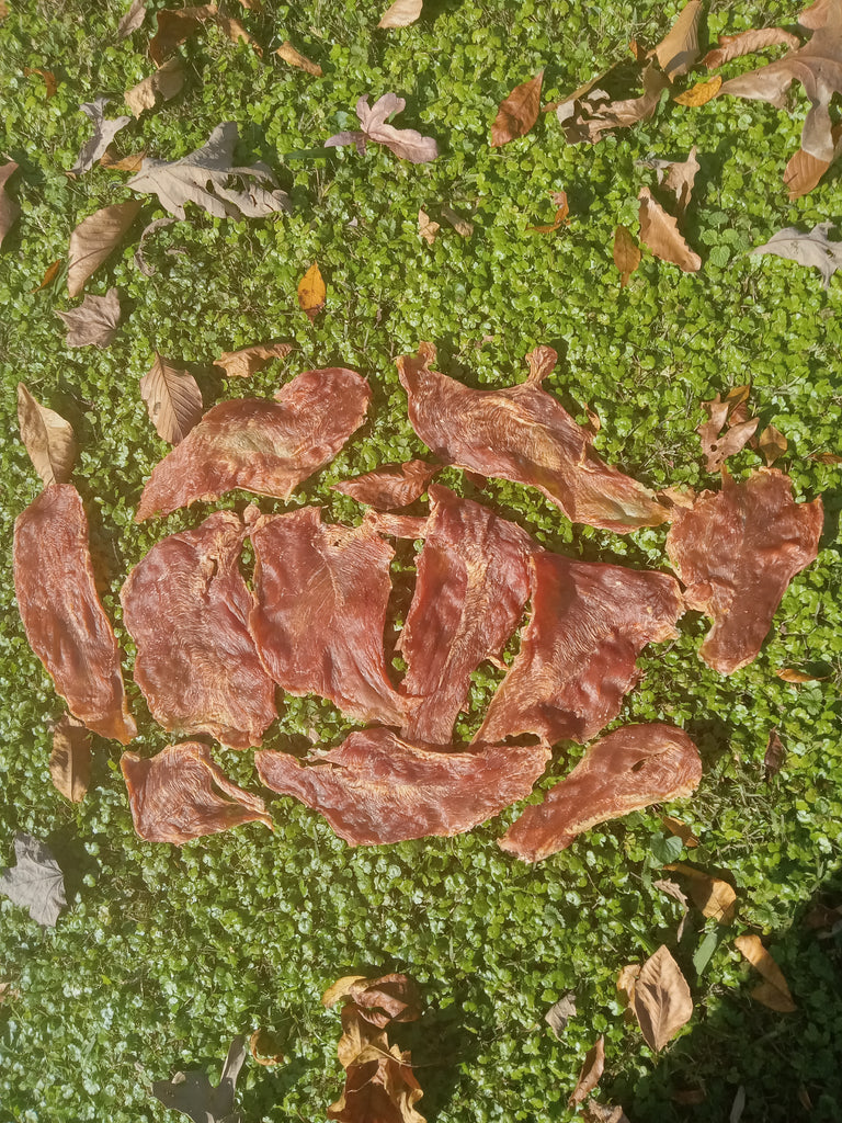 Turkey Breast — Dog Days Jerky