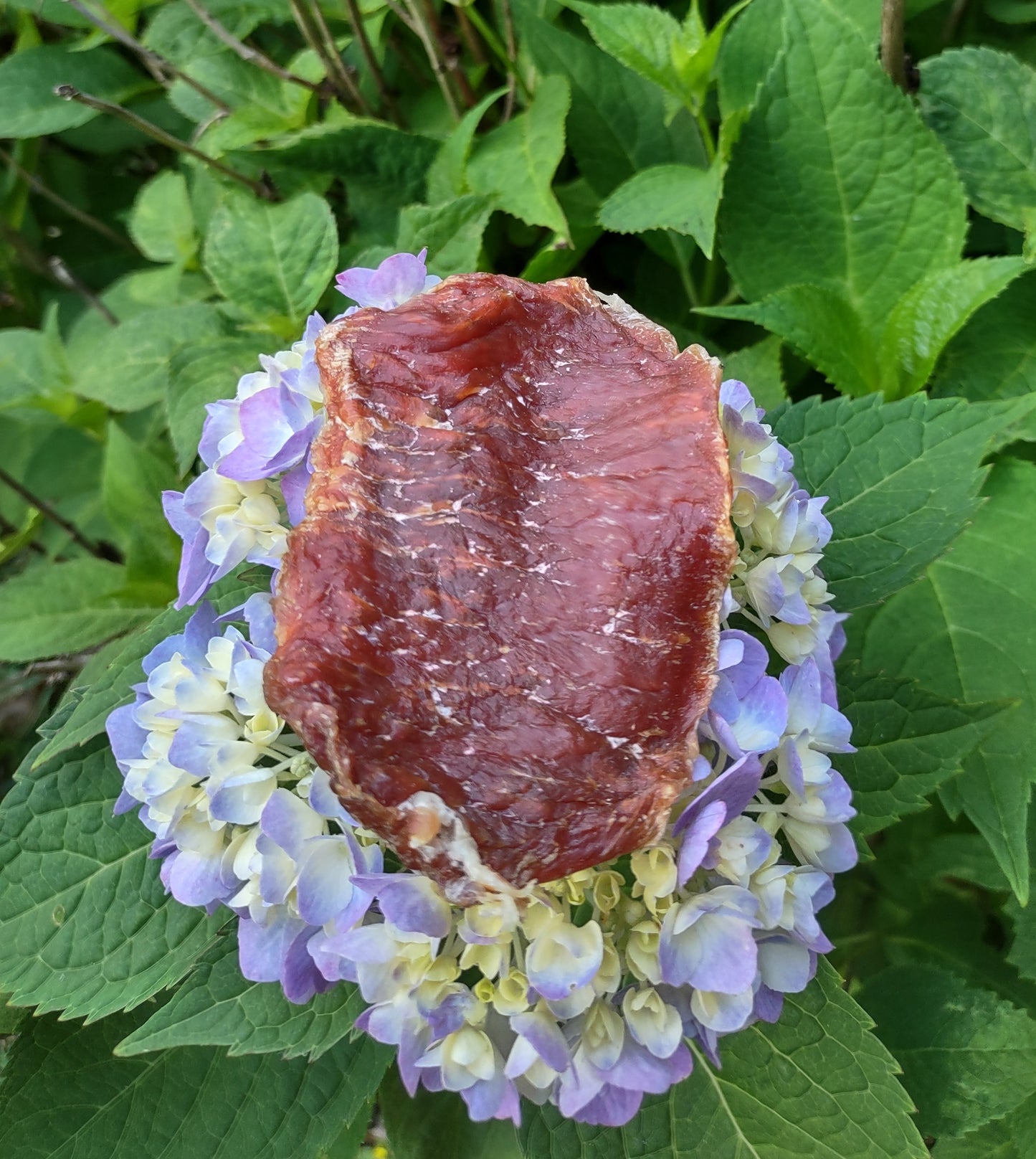 Pork Loin