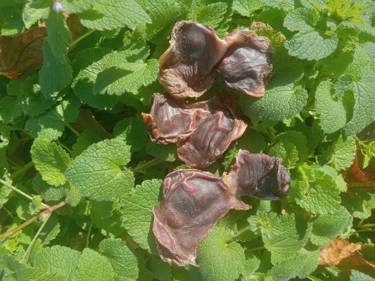 Chicken Hearts